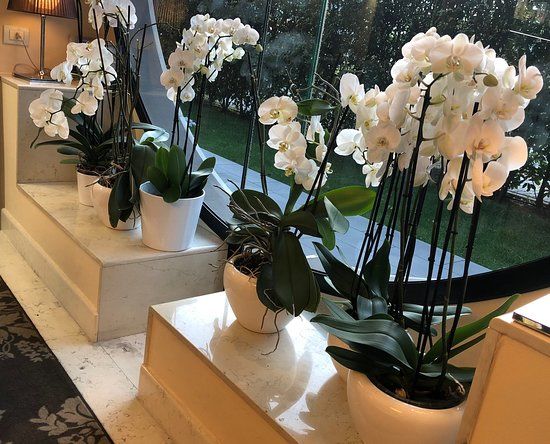 Aquagranda Livigno Wellness Park